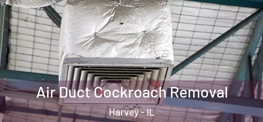  Air Duct Cockroach Removal Harvey - IL