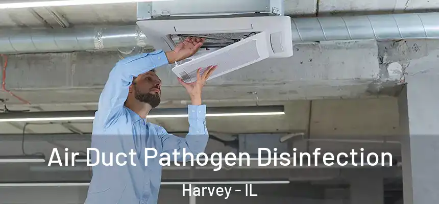 Air Duct Pathogen Disinfection Harvey - IL