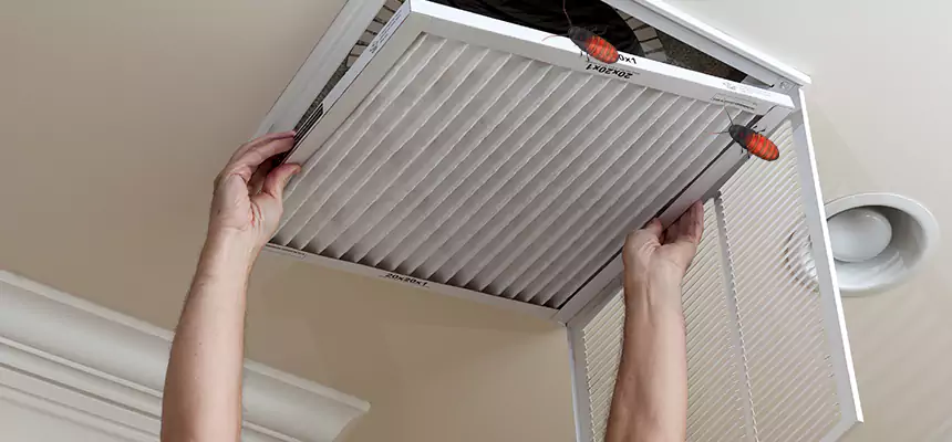 Our Insect Removal from Air Ducts Services in Harvey, IL
