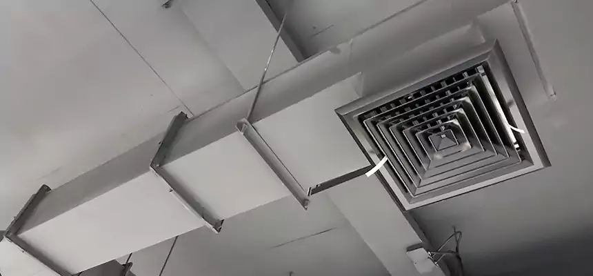 Our Rodent Droppings In Vents Services in Harvey, IL