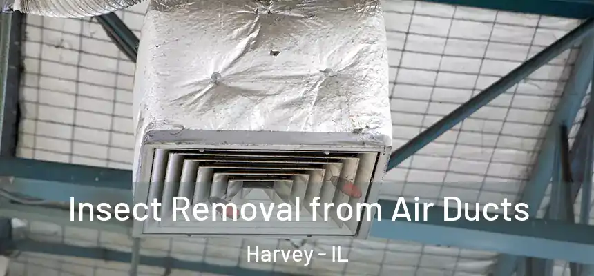 Insect Removal from Air Ducts Harvey - IL