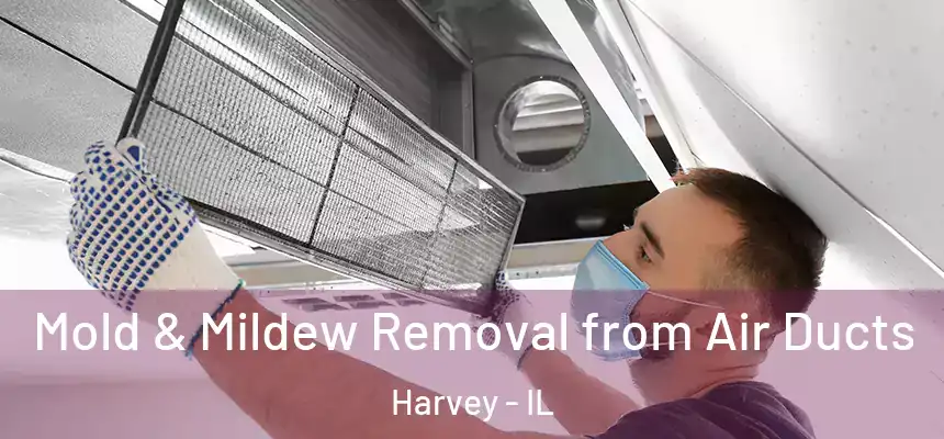  Mold & Mildew Removal from Air Ducts Harvey - IL
