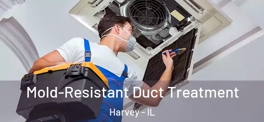 Mold-Resistant Duct Treatment Harvey - IL