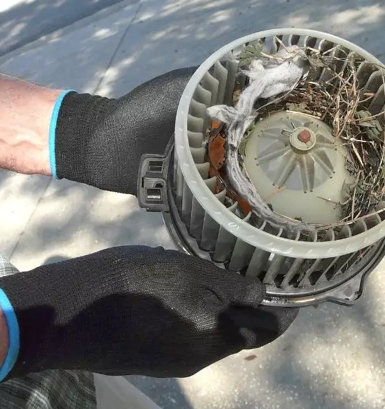 About Air Duct Mice Removal in Harvey, IL