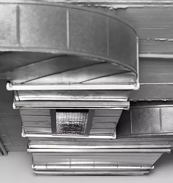 Professional Air Duct Pest Removal in Harvey, IL