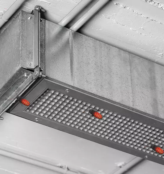 Affordable Insect Removal from Air Ducts in Harvey, IL