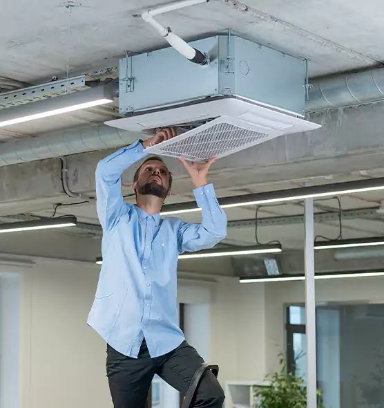 Advanced Rodent Droppings In Vents in Harvey, IL