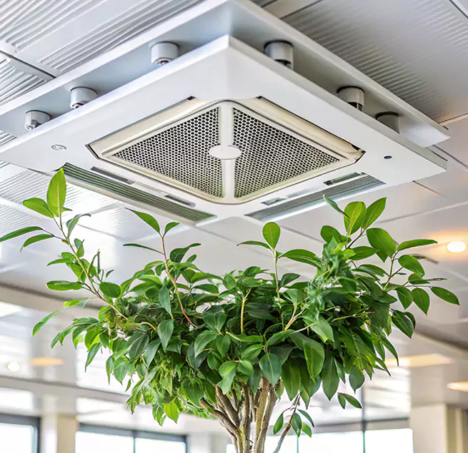 Why Homeowners & Businesses Trust Us in Harvey, IL